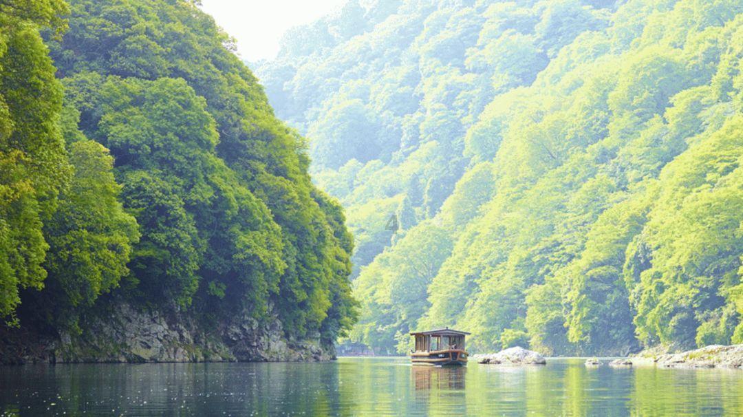 逃出白海豹洞